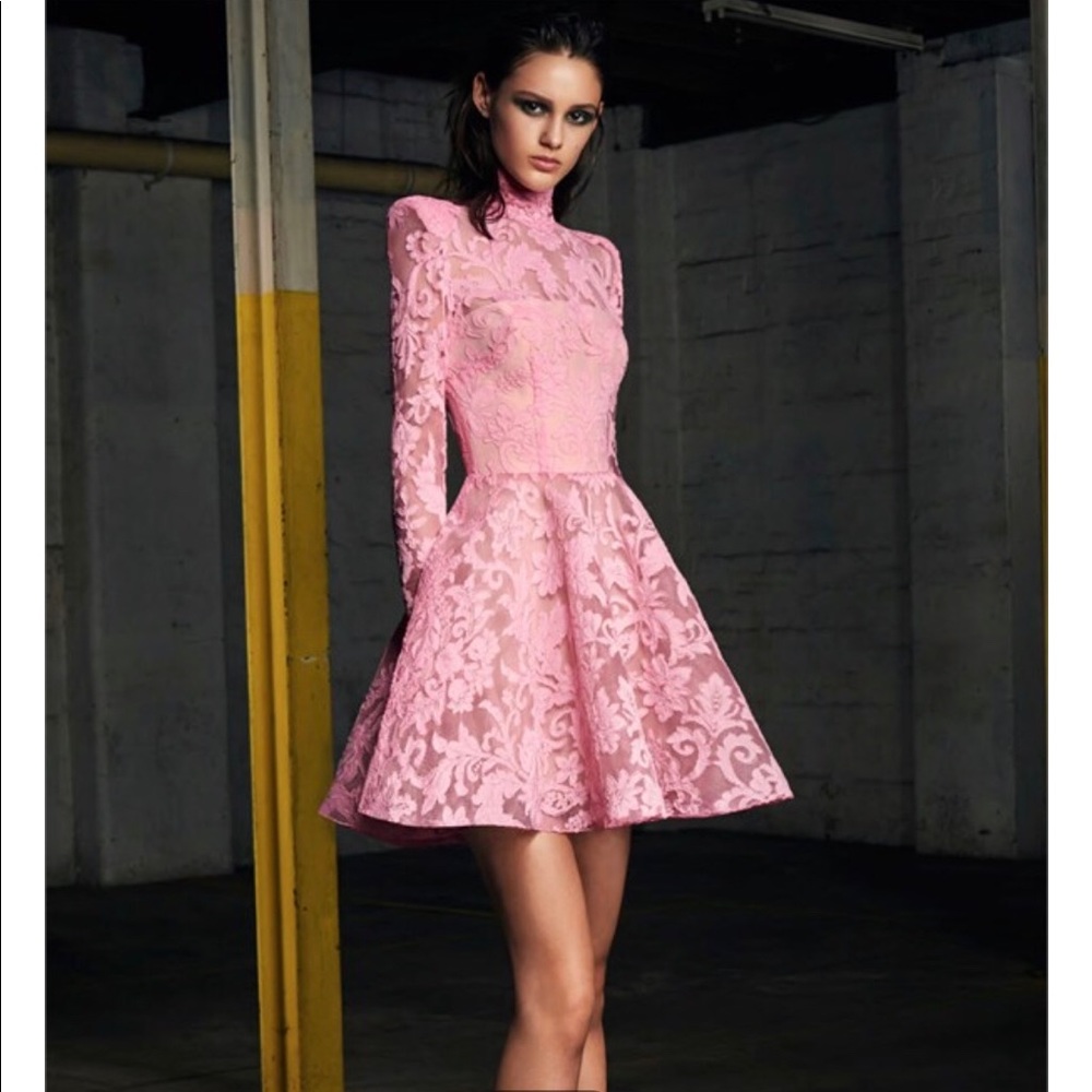 Alex Perry dress